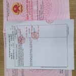 Dịch vụ làm giấy tờ giả